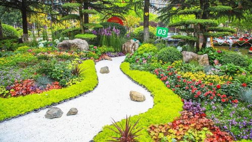 日照市第四屆園林綠化行業(yè)花藝環(huán)境設計師技能競賽成功舉辦，助推園林綠化高質(zhì)量發(fā)展