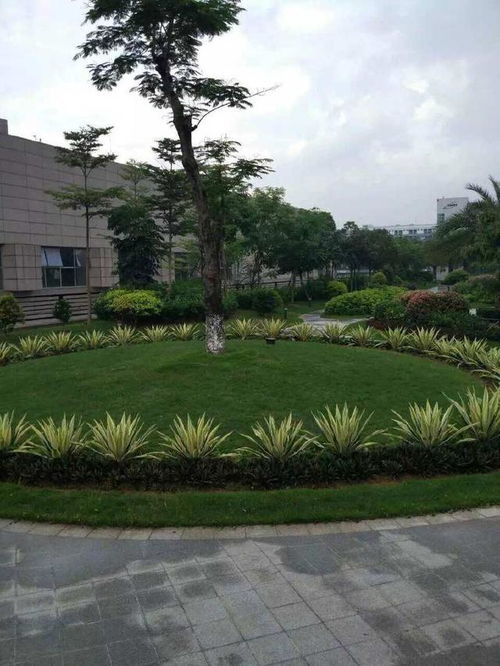 園林綠化養(yǎng)護之道路養(yǎng)護要求